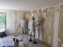 Why You Should Choose Our Mold Remediation Services in Forest Hills, MI